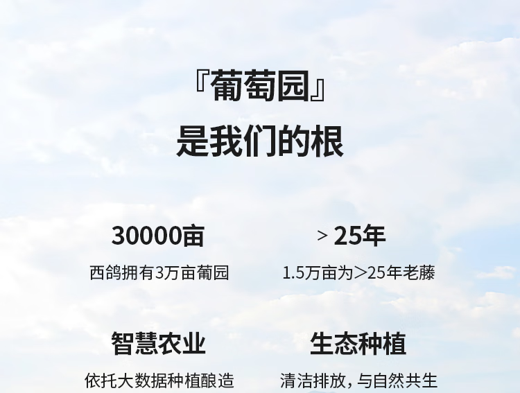 西鸽酒庄西鸽N28马尔贝克干红葡萄酒750ml.png