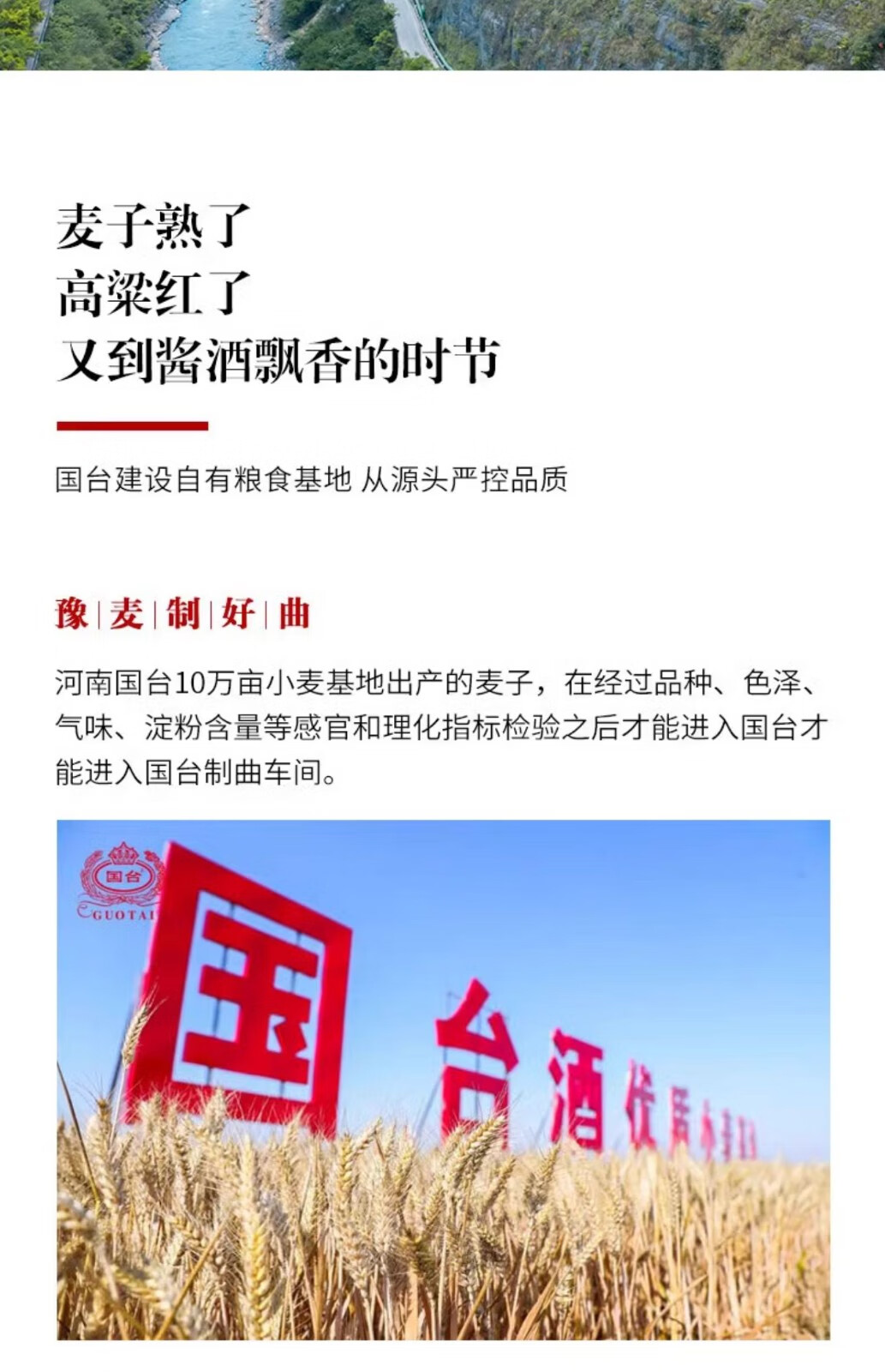 贵州国台好礼贺岁版龙年酱香型白酒53度5L