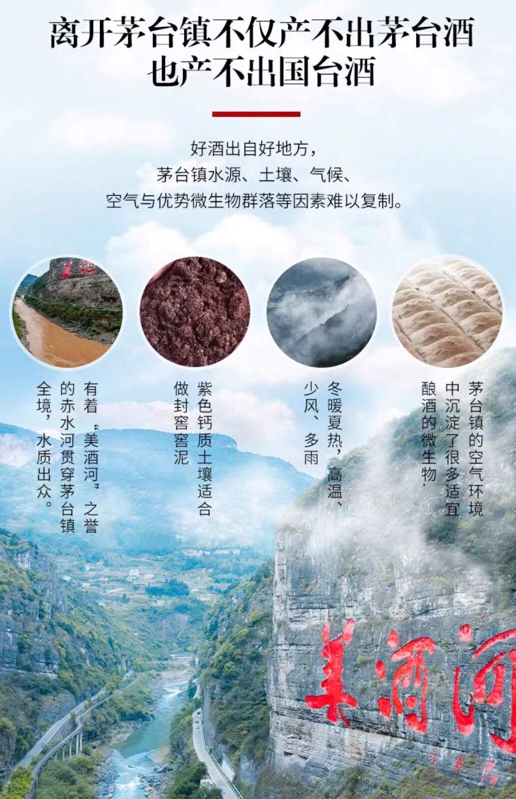 贵州国台好礼贺岁版龙年酱香型白酒53度5L