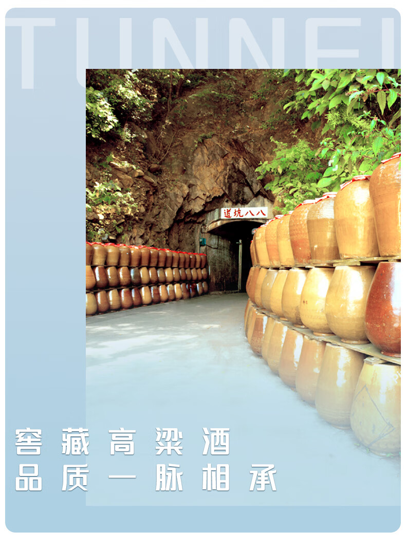 八八坑道典藏陈高清香型白酒53度600ml