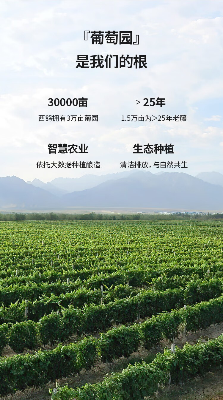 西鸽N28赤霞珠干红葡萄酒14度187ml*6瓶/盒