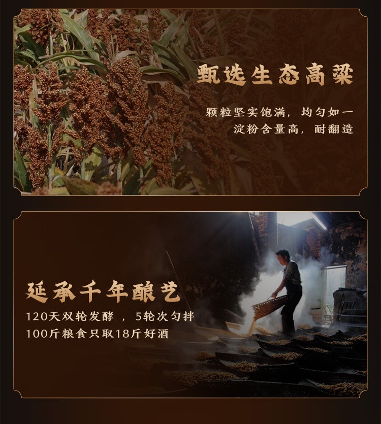 小糊涂仙酒臻藏浓香型白酒52度500mL 