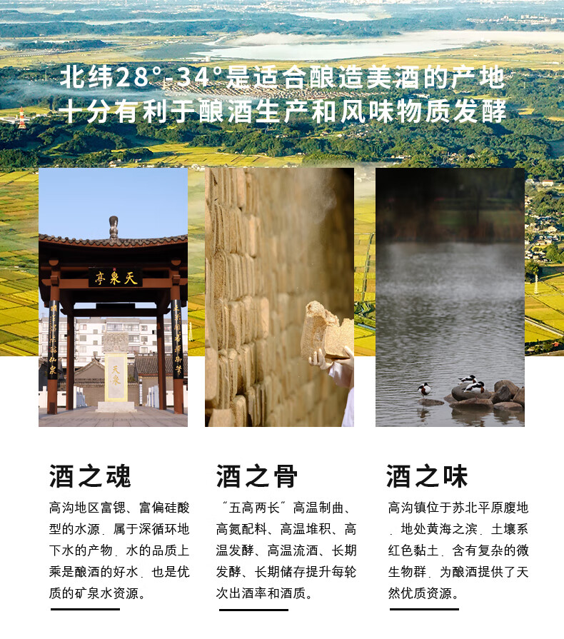 今世缘国缘四开浓香型白酒52度500ml 